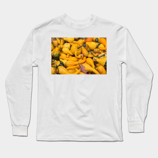 gourds Long Sleeve T-Shirt by sma1050